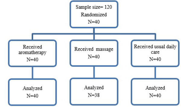 Randomization of Aromatherapy Massage Groups in Postmenopausal Women Suffering From Depression