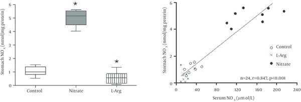 A, Box plots showing the effects of sodium nitrate and L-arginine administration on NOx levels of the stomach. Median (interquartile range) stomach NOx was 1.02 (0.81 - 1.34) μmol/L in the control group; nitrate administration significantly (P < 0.001) increased 5.16 (4.50 - 5.53) μmol/L and L-arginine administration significantly (P < 0.05) decreased 0.57 (0.17 - 0.87) μmol/L stomach NOx levels; B, Correlation between serum and stomach NOx content. * Significant difference compared to control group.