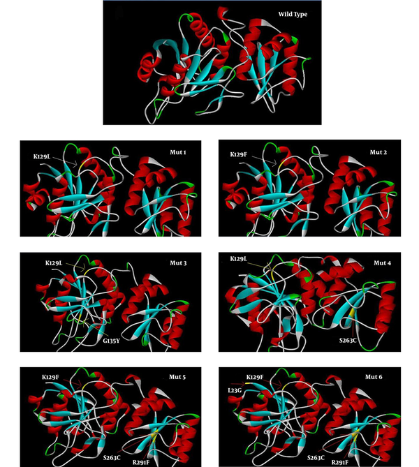 3D Model Structure of Predicted Protein Illustrated by I-TASSER Software