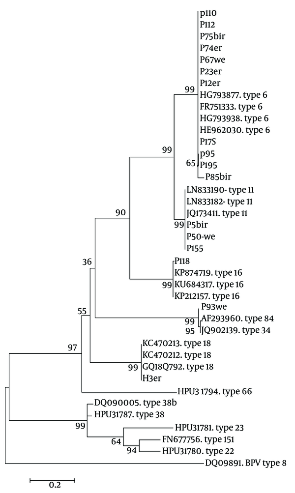 The Maximum Likelihood Phylogenic (ML) Tree of HPV L1 Gene Sequences from Current Isolates in an Alignment with Reference Isolates of Aligned Sequences, Constructed in Mega- 6 Software. Phylogeny Reconstruction Was Done with ML Test and Kimura 2-Parameter Model, Rates Among Sites Was Gamma Distribution, Selected Codon Were 1st, 2nd, 3rd and Non- Coding Sites. In Order to Test the Validity of Tree, the Bootstrapping of 1000 Replication Was Used. There Were a Total of 315 Positions in the Final Dataset. The Tree with the Highest Log Likelihood (-3324.8468) Is Shown. The Accession Number of Reference Sequences and HPV Types Were Given in the Front of Branches. The Symbols Except the Accession Numbers Are Sequences of Current Study