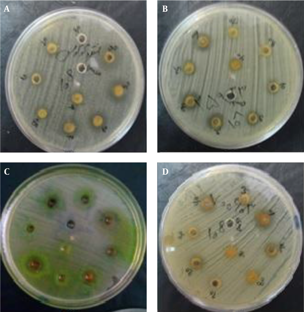 (A), Enterococcus faecalis ATCC 29212; (B), Staphylococcus aureus ATCC 25923; (C), Pseudomonas aeruginosa ATCC 27853; (D), Klebsiella pneumoniae ATCC 700603).