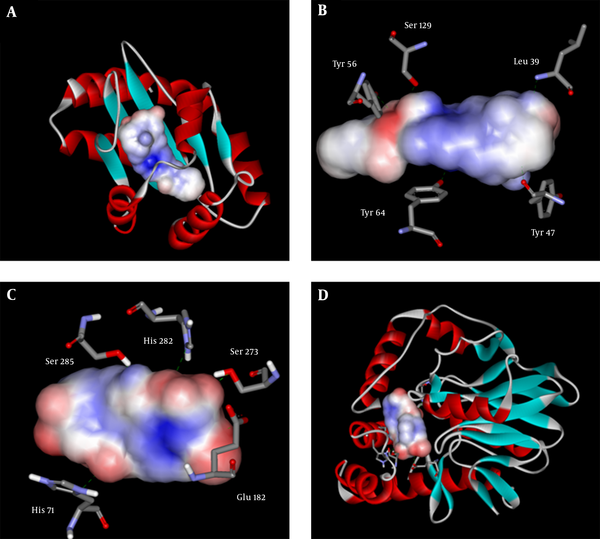 A, Shows a Surface Added to an Overlay of 5 Top Inhibitors of lasR in the Active site of the Protein; B, Shows Amino Acids Surrounding Ligands and Making Hydrogen Bonds with the Top 5 LasR Inhibitors; C and D Show pqsE and its 5 Top Inhibtors as Top