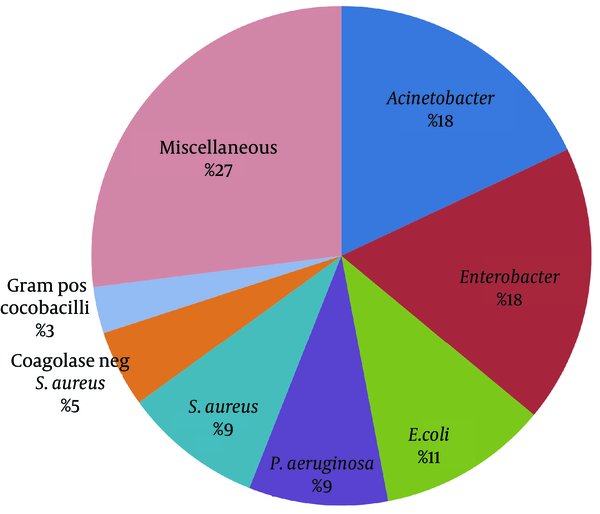 The Proportion of the Microorganisms Isolated as Causative Agents for Hospital-Acquired Infections in Zahedan, 2013-2014