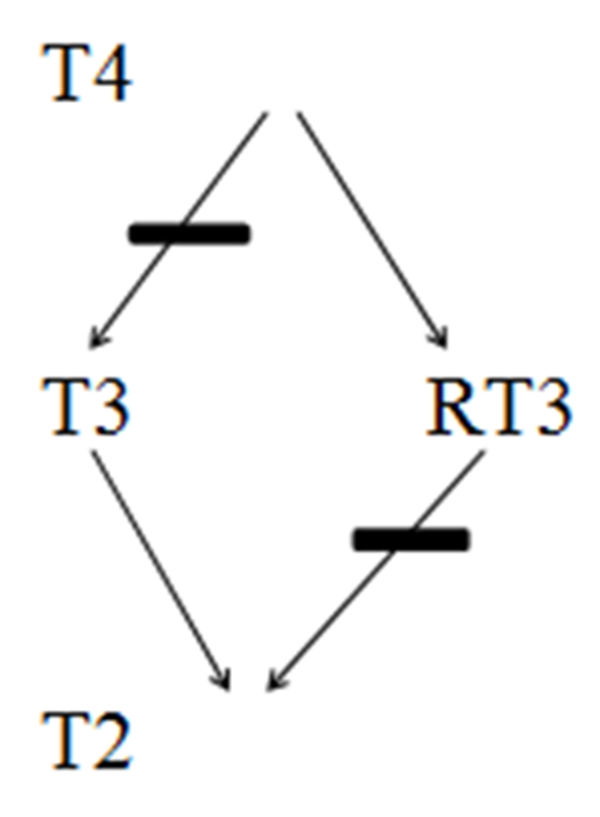 T3, Triiodothyronine; T4,Thyroxine; T2, Diiodothyronine; RT3, Reverse T3