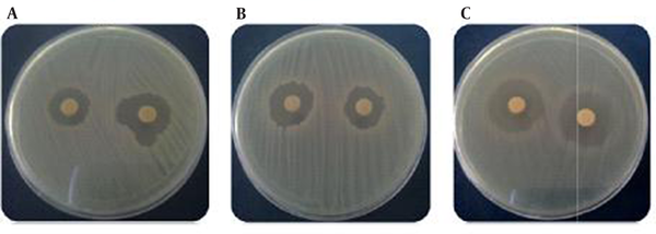 A, C. albicans; B, B. subtilis; C, E. coli.