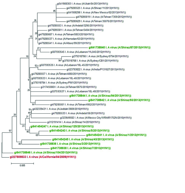 Phylogenetic Analysis of Neuraminidase Gene Nucleotide Sequences From Influenza A(H1N1)pdm09 Viruses Isolated in Shiraz, Iran, From 2012 to 2013