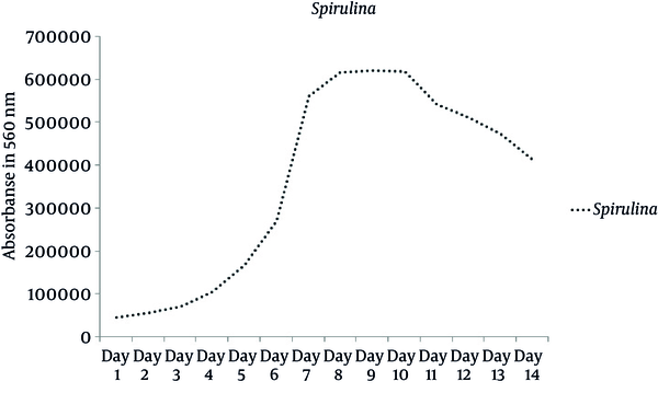 Growth Curve of S. platensis Under Standard Condition Containing 4 Stages Including Lag Phase (Days 1 - 3), Exponential Phase (Days 4 - 7), Stationary Phase (Days 8 - 11) and Death Phase (Start at Day 11)