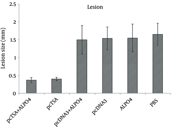 Lesion Size (Diameter of Dermal Lesion) and Weight Increase in the Challenged BALB/c Mice Seven Weeks After the Immunization by Intradermal Inoculation of 2 × 106 Promastigotes of L. major in the Base of the Tail.