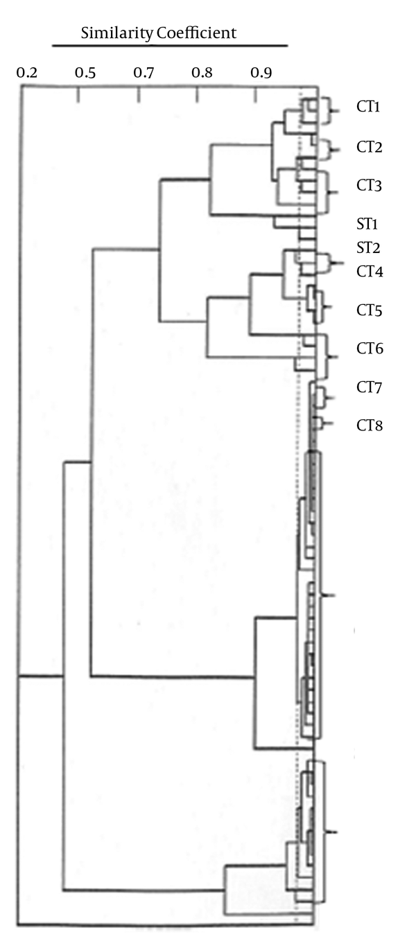 A Unweighted Pair Group Method Dendrogram Showing 70 Enterococcus faecium Strains Isolated From Different Samples