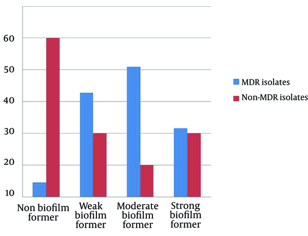 The Relationship Between Biofilm Formation and Multidrug-Resistant Pseudomonas aeruginosa Isolates From Burn Patients