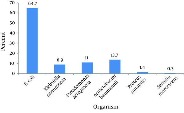 Distribution of the Different Kinds of Enterobacteriaceae