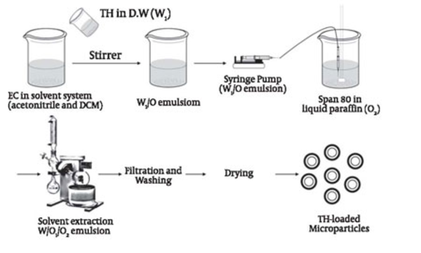 Schematic representation of EC microparticles preparation using double-emulsification the W/O1/O2 method.