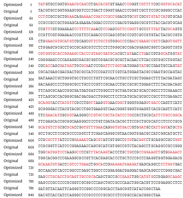 The Comparision of the Optimized and Original Sequence of the Herpes B Virus Gd Gene