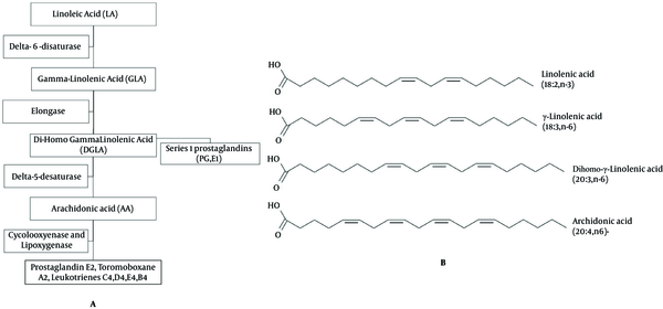 (A) Metabolism of γ-Linolenic Acid and (B) Essential Fatty Acids of the Omega-6 Family