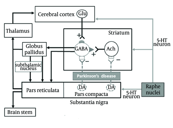 Striatal GABAergic (GABA) output neurons receive glutamatergic (Glu) excitatory inputs from the cerebral cortex and excitatory inputs from acetylcholinergic (ACh) in the striatum. Potential pathways of importance for the current study are highlighted in gray, 5-HT neuronal pathways and their projections to dopaminergic neurons.