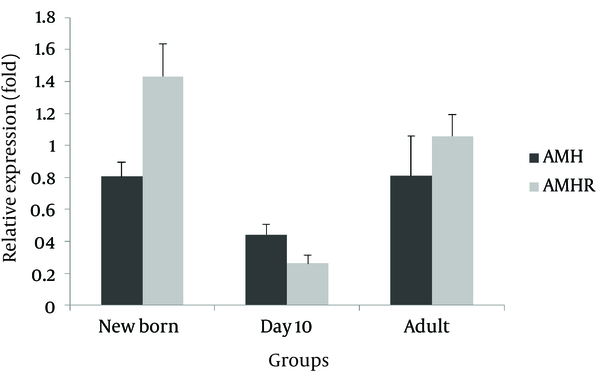 Relative Gene Expression Levels of AMH and AMHR in the Studied Groups