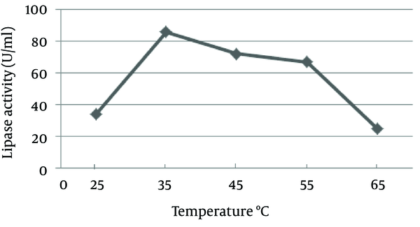 Effect of pH on Lipase Production by Cladosporium langeronii After 48 Hours at 35°C