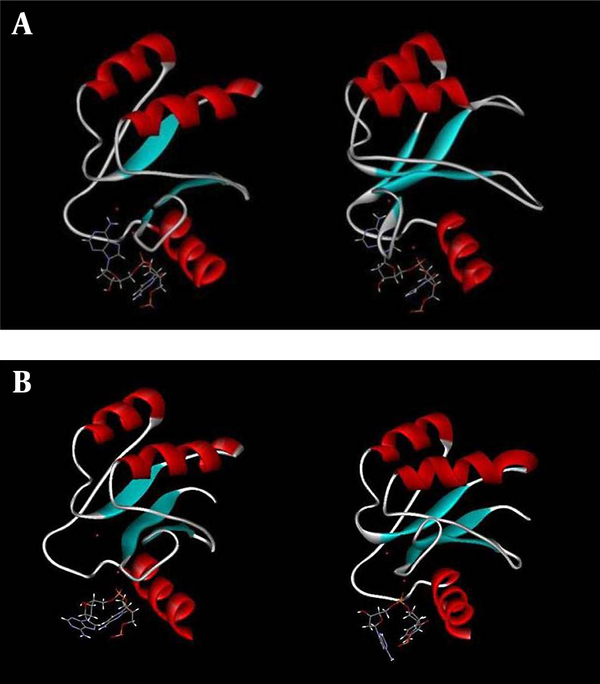 A, Graphic representation of DNA binding site of HIV-1 integrase before (left) and after (right) simulation showing the movement of the 3'-dA through the binding site cleft obtained from 10 ns simulation at 37°C and one atmospheric pressure, in the presence of SPCE water box; B, Graphic representation of DNA binding site of PFV integrase before (left) and after (right) simulation showing the situation of 3'-dA and magnesium ions of A and B sites obtained from 10 ns simulation at 37°C and one atmospheric pressure, in the presence of SPCE water box.