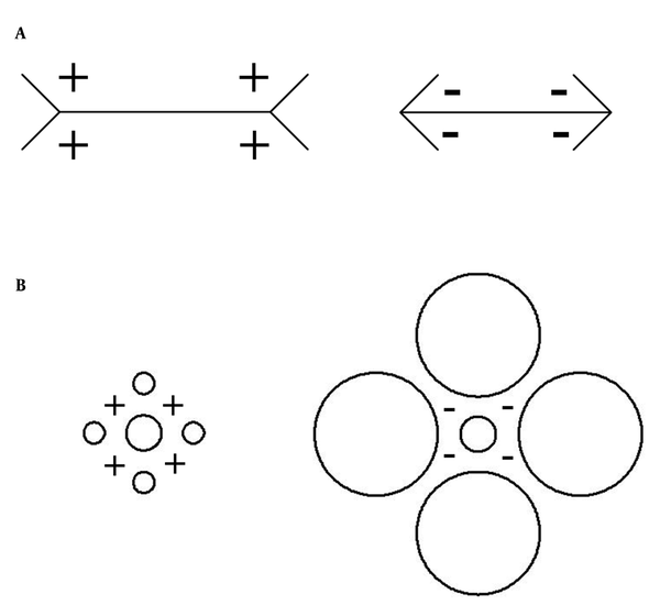 The target stimulus in the Müller-Lyer (horizontal line) and in the Titchener (central circle) configurations is overestimated when it (and/or its whole configuration) is surrounded by the larger empty  space “+” and underestimated when it (and/or its whole configuration) is surrounded by the smaller empty space “-”.