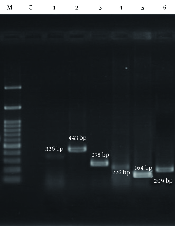 Lanes M, DNA molecular size marker (100-bp ladder; Cinna Gen, Iran); C-: negative control; lane 1: tst; lane 2: LukS /F-PV; lane 3: sed; lane 4: etb; lane 5: seb; lane 6: hla