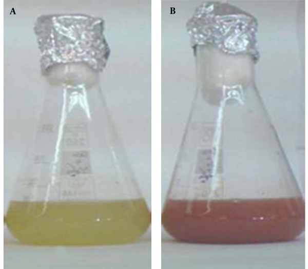 Cultivation of Bacillus sp. MSh-1 in nutrient broth (a) with and (b) without selenium dioxide