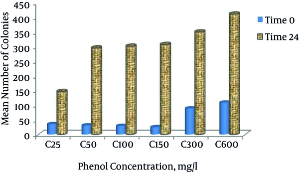 Comparison of Phenol Concentrations by the Mean Number of Colonies