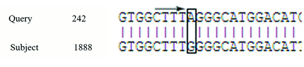 The Arrow Indicates A Mutation in the Sample, Which Created an Unwanted Stop Codon