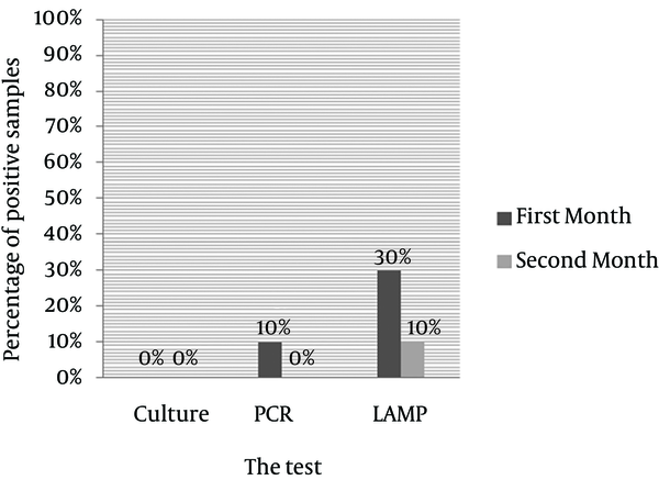 Comparing Culturing, PCR, and LAMP Results of Coccoid Samples After 30 and 60 Days sat 4°C