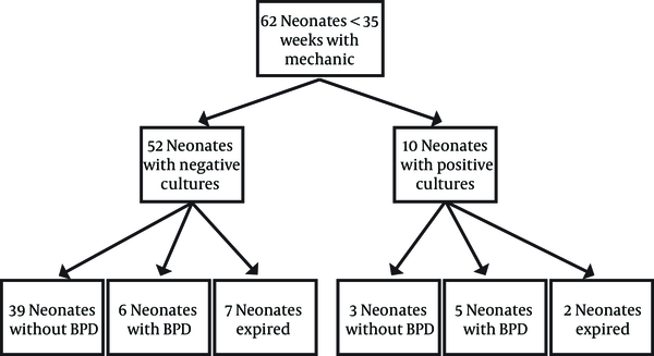 Summary of the Results and Outcome of 62 Neonates (< 35 Weeks) with Mechanical Ventilation