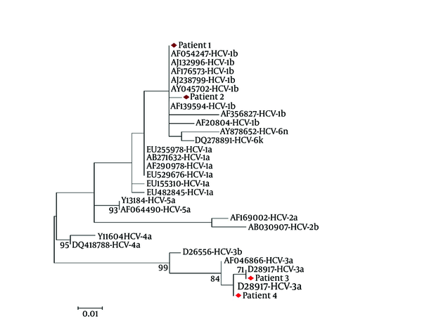 Neighbor-joining tree constructed with HCV 5′-untranslated region (5′-UTR) nucleotide sequences of the clones obtained from 4 individuals with occult HCV infection, and sequences corresponding to different HCV genotypes retrieved from GenBank. Bootstrap values ≥70 obtained after 1000 replicates of the data sheet, has been shown in the nodes of the tree.