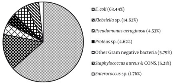 Percentage (%) of the Common Bacteria Isolated From Urine Samples (1,190)