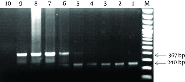 M: 100 bp DNA Marker; 1: positive control for diagnostic 16SrRNA gene; 2-8: PCR products of the tubes containing 1 pg to 1 µg of pTZ57R/T-IPC plasmid in the presence of 1 ng of pTZ57R/T-16S plasmid; 9: the IPC positive control; 10: Negative control. As seen in figure, the best concentration of IPC for use in the PCR reaction was 1 ng concentration (well No. 5).