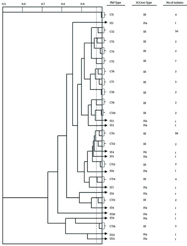 In this dendrogram, only two isolates of each CT have been included.
