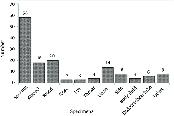 The Frequency of Isolates Collected From Different Sources of Infection