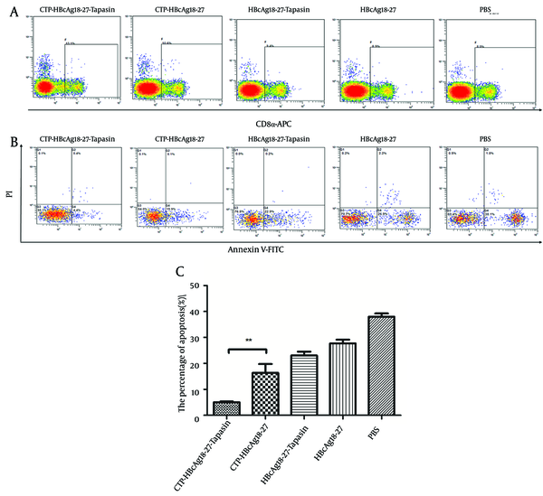 The whole cell population was stained three times with fluorescent material labeled using CD8α-APC antibody (A), Annexin V-FITC, and PI (B), and then counted and analyzed by flow cytometry. Significant lower percentages of apoptotic CD8+ T cells were observed in mice immunized with CTP-HBcAg18-27-Tapasin. The data are the mean ± SD from six mice per group (**P &lt; 0.01).