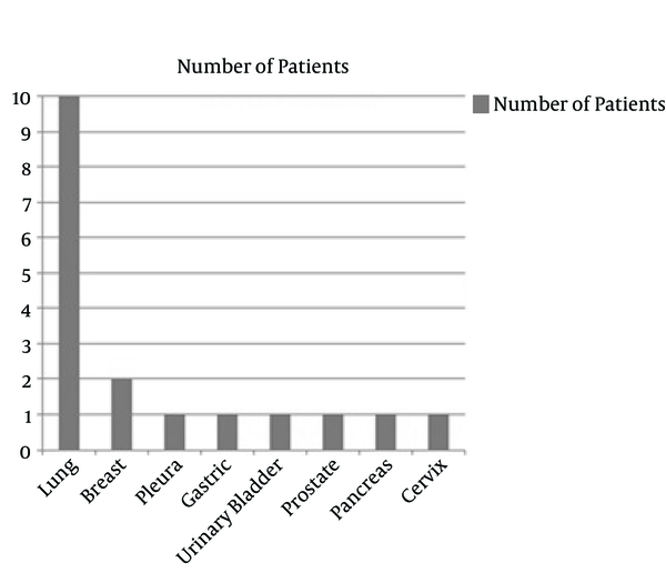 Number of 18 Patients According to Distant Metastatic Site