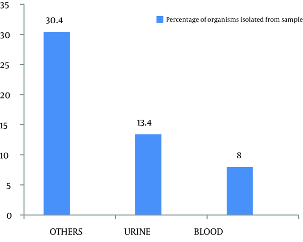 Frequency of Organisms Isolated From Various Samples