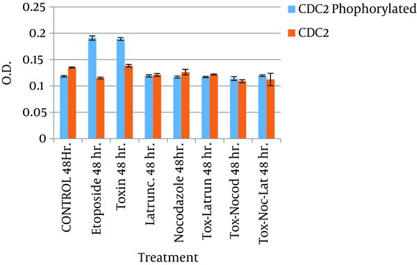 The graphics show variations in the concentration of Cdc2-P measured in samples with different treatments. Values are given as the percentage of Cdc2-P ± SE, where n = 3 independent experiments.