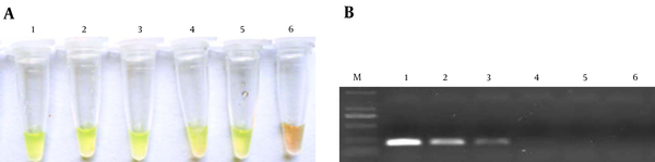 a: Results of LAMP; b: Results of PCR. 1-6: DNA concentrations were 100, 10, 1, 0.1, 0.01, and 0.001 ng/μL. The LOD of LAMP was 0.01 ng/μL and the LOD of PCR was 1 ng/μL.