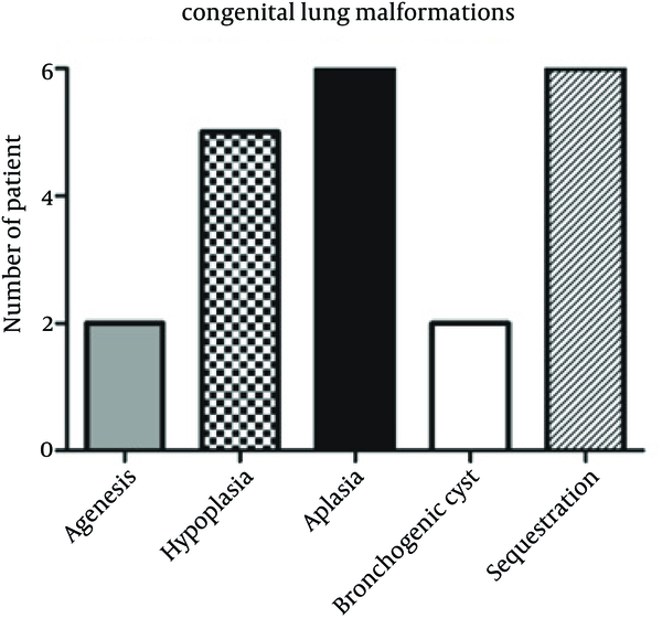Classification of 21 Patients with Congenital Lung Malformations Based on Their Final Diagnoses