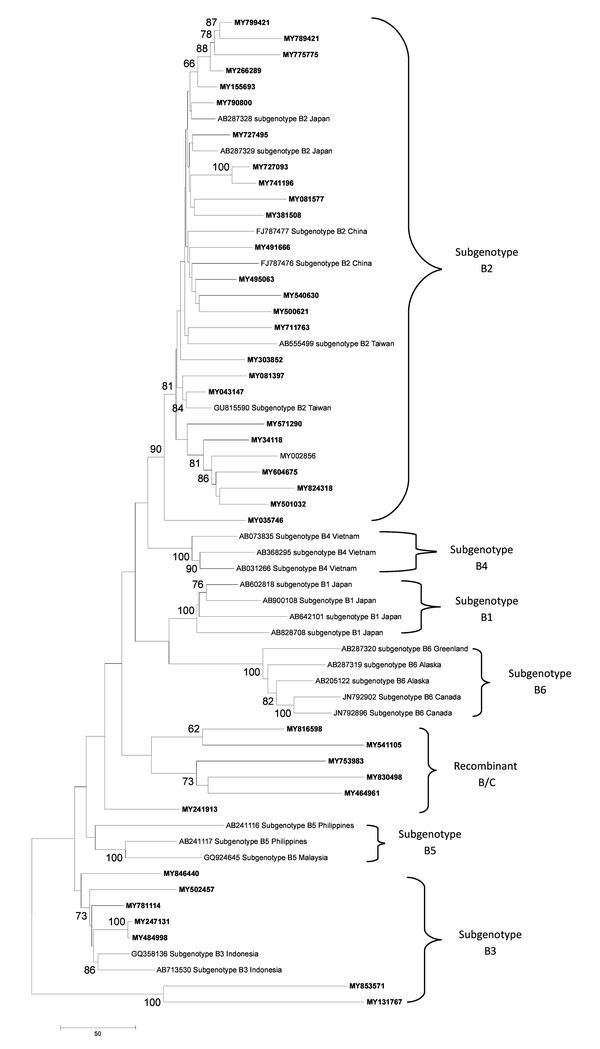 Phylogenetic Analysis to Group the HBV Sub-genotype B of the Malaysian HBV Isolates