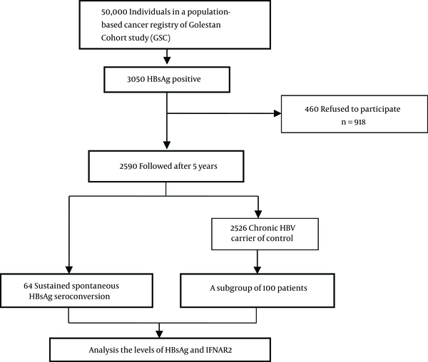 Flow Diagram of the Study Participants in the Golestan Cohort Study Infected with Hepatitis B Virus and Followed-Up for 5 Years