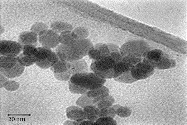 Transmission Electron Microscopy Image of Zinc Oxide Nanoparticles