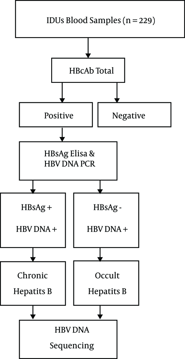 Flowchart of the Laboratory Tests and Diagnosis of Occult Hepatitis B (OBI)