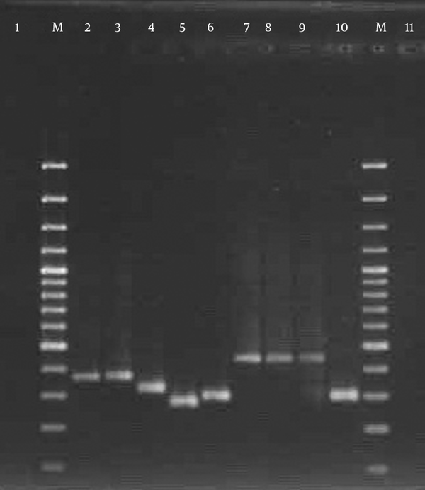 Lane M, 100-bp DNA ladder (Fermentas, UK); lanes 2 - 10, the variable PCR product of spa; lanes 1 and 11, the negative control.