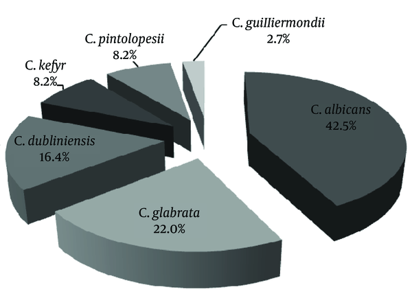 Distribution of Isolated Candida Species From Patients With Vulvovaginal Candidiasis