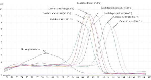 Melting Curve Analysis of Different Candida ATCC With Their Respective Melting Temperature in Parenthesis