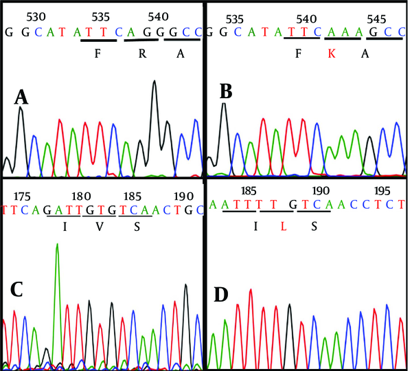 The sequencing graphs demonstrated the (a) wild virus sequence R155 and (b) R155K variant, in which R, Arginin was replaced by K, Lysine. The wild V36 graph (c) compared to V36L variant graph (d) that V, Valine was replaced by L, Leucine amino acid.
