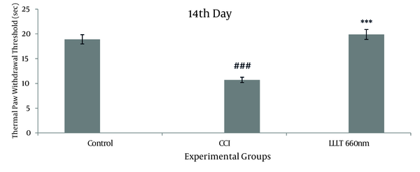Mean values of the Thermal Withdrawal Threshold obtained from the groups during the study period (before the operation (control), 14 days after the operation). Asterisks represent significant differences from CCI group (*** P &lt; 0.001) and represent significant differences from Control group (### P &lt; 0.001)