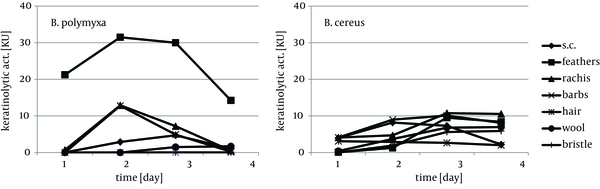 Production of Keratinases During Growth of B. polymyxa and B. cereus in the Presence of Different Keratins